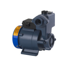 Self-Priming Vortex Pump (DGP Series)